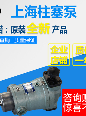 10SCY/25SCY/40SCY/63SCY/80SCY/100SCY/160SCY14-1B上海柱塞油泵