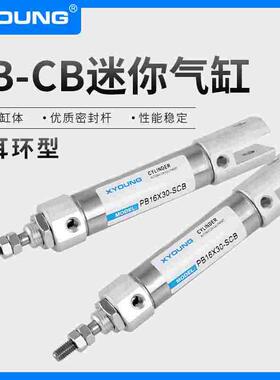 双耳环U型迷你气缸PB10X50-SCB预缩不锈钢迷你气缸PSB10X20-SCB