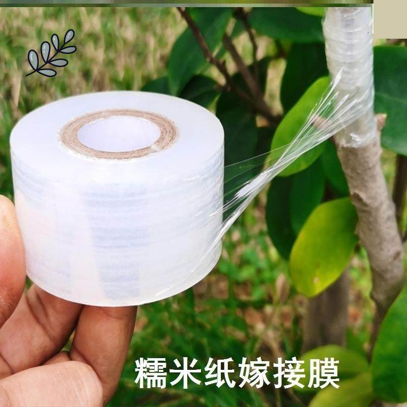 糯米纸嫁接膜树木植物专用嫁接糯米膜自粘糯米纸嫁接带果树架接膜,玩具/童车/益智/积木/模型,其它玩具,淘宝优惠券,粉丝福利购,淘宝优惠卷