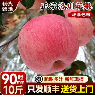 冰糖心红富士 顺丰正宗陕西洛川苹果水果新鲜应当季 10斤90mm起