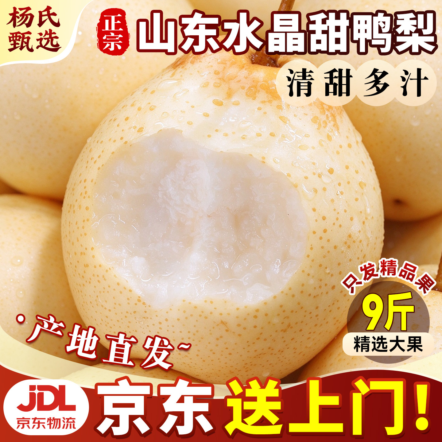 正宗山东鸭梨整箱包邮