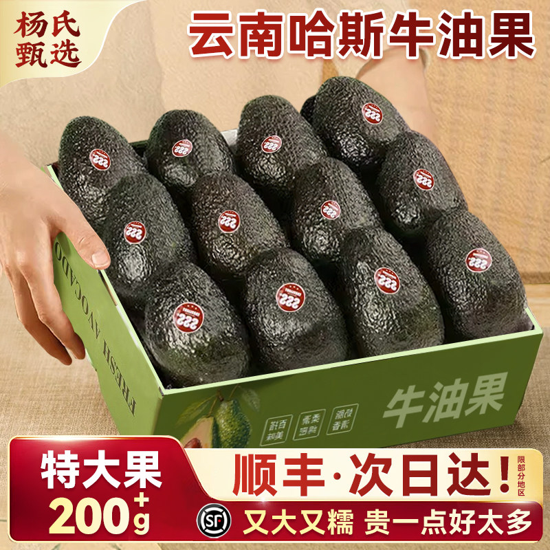 云南哈斯牛油果即食细腻口感