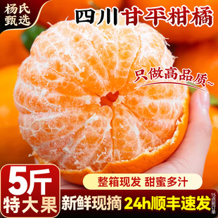 【整箱现货】顺丰四川甘平柑橘皇后当季新鲜现摘正宗水果蜜大桔子