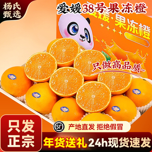 【只发正宗】四川爱媛38号果冻橙子当季水果新鲜特级柑橘顺丰礼盒