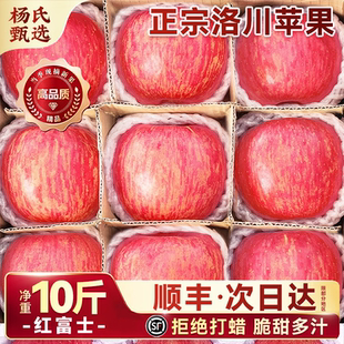 顺丰正宗陕西洛川苹果10斤水果新鲜应当季整箱现摘冰糖心红富士