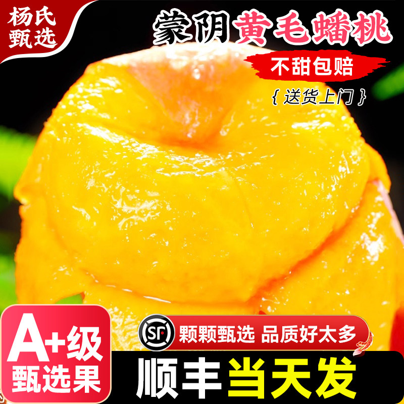 正宗山东蒙阴黄毛蟠桃
