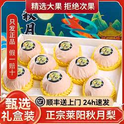 正宗山东莱阳秋月梨子礼盒装应当季整箱6个新鲜水果官方旗舰正品