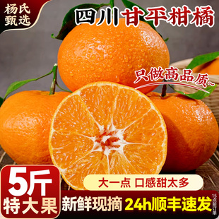 【特大果】顺丰四川甘平柑橘皇后当季新鲜现摘正宗水果蜜桔子橘子