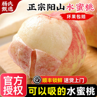 正宗无锡阳山水蜜桃子新鲜水果整箱应当季白凤湖景礼盒毛顺丰包邮
