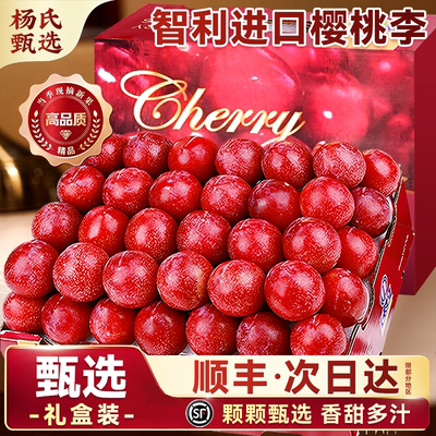 智利进口樱桃李子新鲜水果5斤红心应当季鸡心李整箱顺丰礼盒包邮