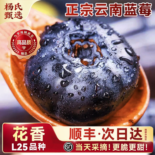 【顺丰】云南玉溪L25花香蓝莓