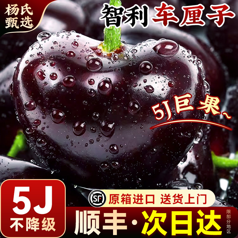 【5J】智利进口车厘子礼盒