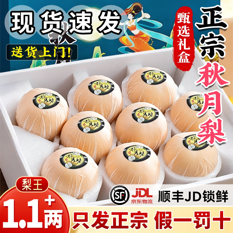 【1.1斤+梨王礼盒】秋月梨