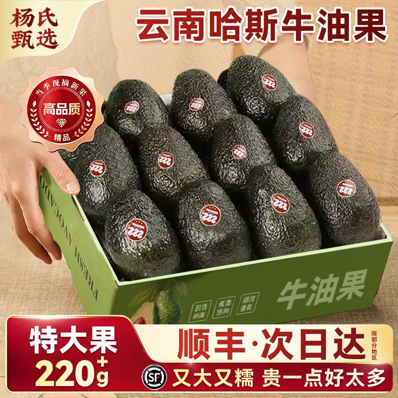 云南哈斯牛油果即食细腻口感