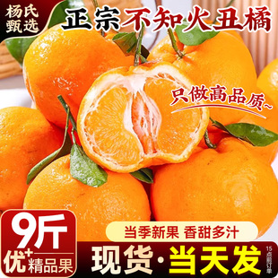 【当季新果】正宗四川不知火丑橘新鲜水果9斤耙耙粑丑柑桔子整箱