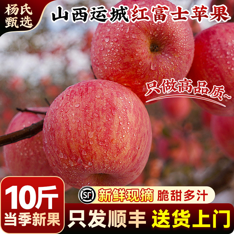 【新鲜现摘】顺丰山西运城红富士苹果10斤当季水果冰糖心整箱包邮,水产肉类/新鲜蔬果/熟食,苹果,淘宝优惠券,粉丝福利购,淘宝优惠卷
