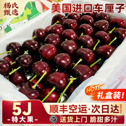 美国进口车厘子黑珍珠大樱桃