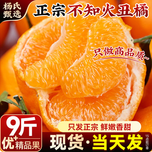 【正宗不知火丑橘】四川新鲜水果9斤耙耙粑粑丑柑桔子整箱蜜桔10