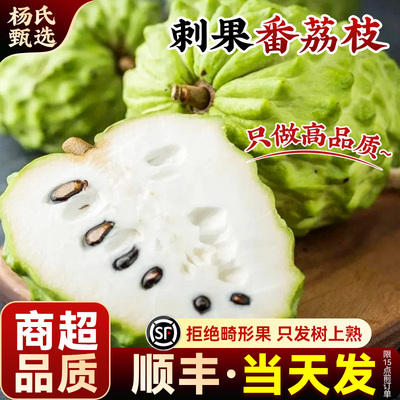 【刺果番荔枝】云南凤梨释迦果新鲜水果现摘牛奶特大果佛头林檎牟