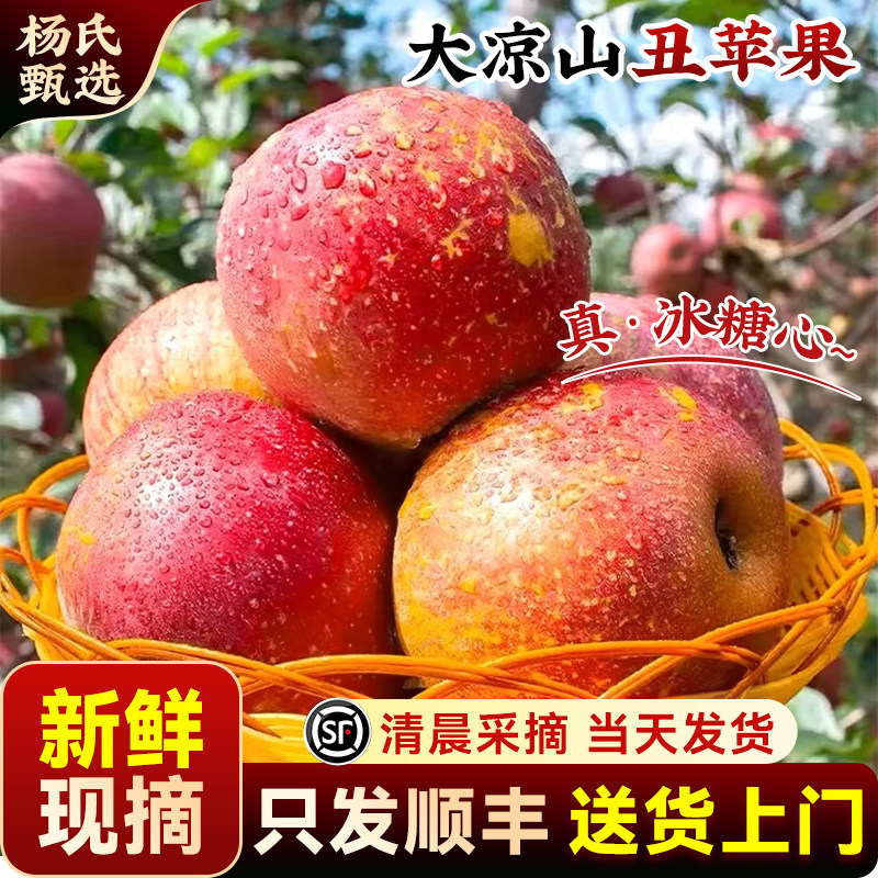 【新鲜现摘】 2025正宗大凉山丑苹果10斤新鲜水果冰糖心当季整箱,水产肉类/新鲜蔬果/熟食,苹果,淘宝优惠券,粉丝福利购,淘宝优惠卷