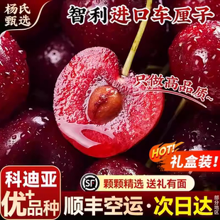 智利进口车厘子顺丰包邮特大5斤4jjjj新鲜孕妇樱桃科迪亚桑提娜