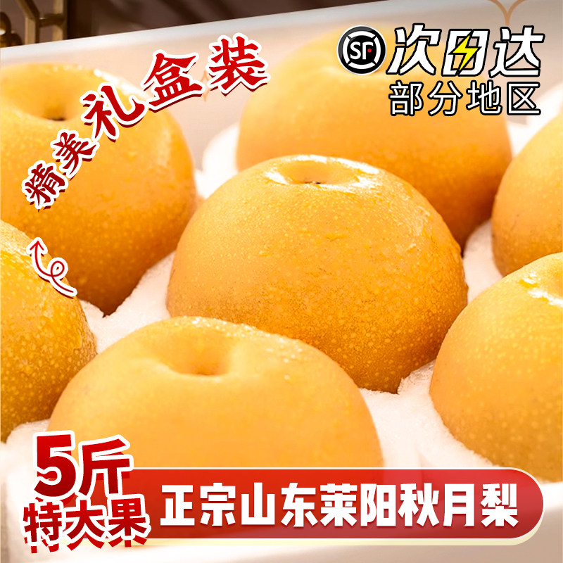【5斤大果】正宗山东菜阳秋月梨子礼盒应季整箱新鲜水果现摘羊脂