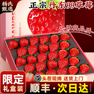 【礼盒装】丹东99草莓新鲜水果九九红颜奶油牛奶东港顺丰过年礼物