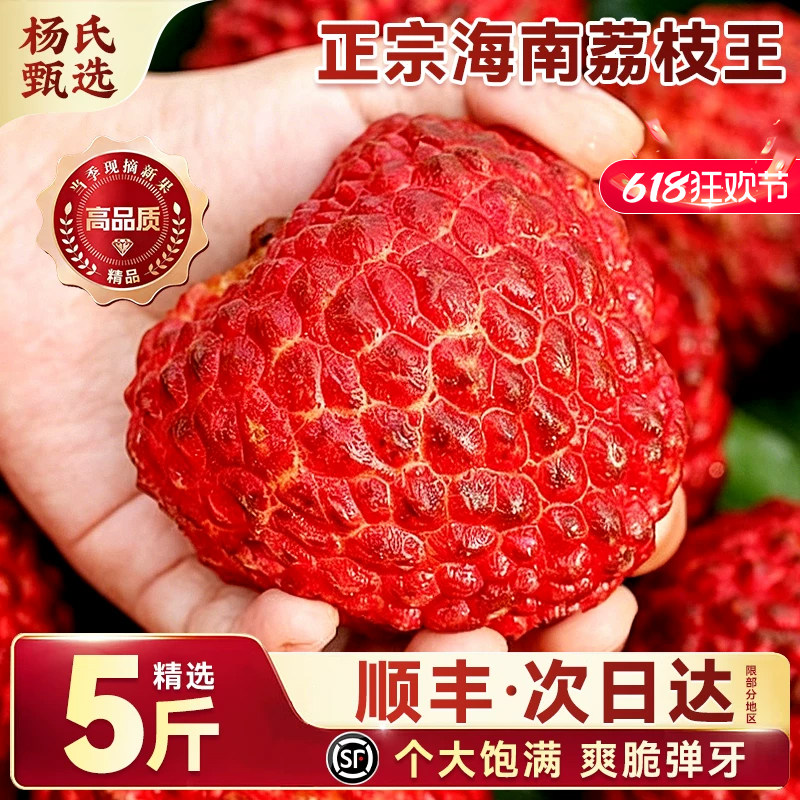 顺丰5斤海南荔枝王特大荔枝火山岩新鲜当季现摘时令水果整箱包邮