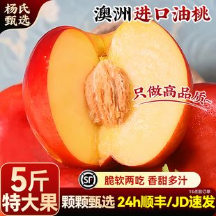 正宗澳洲进口油桃大果5斤当季新鲜高端水果黄白肉脆桃子顺丰包邮