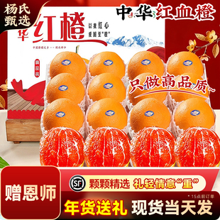 【赠恩师】正宗九月红秭归血橙子果冻新鲜水果10斤大产地直发冰糖