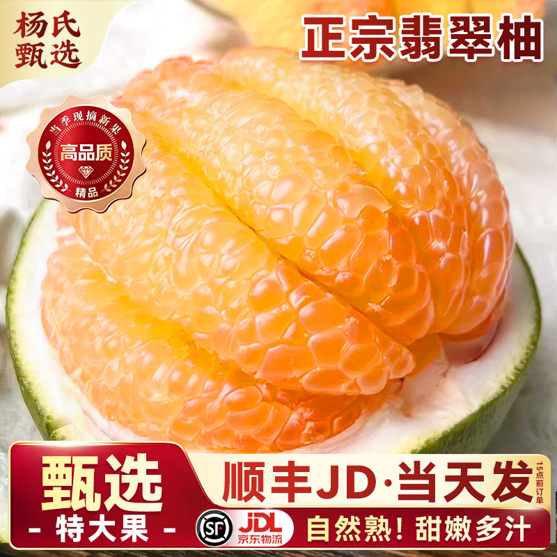 正宗翡翠柚当季新鲜水果青皮大果蜜柚红心红肉柚子顺丰整箱包邮
