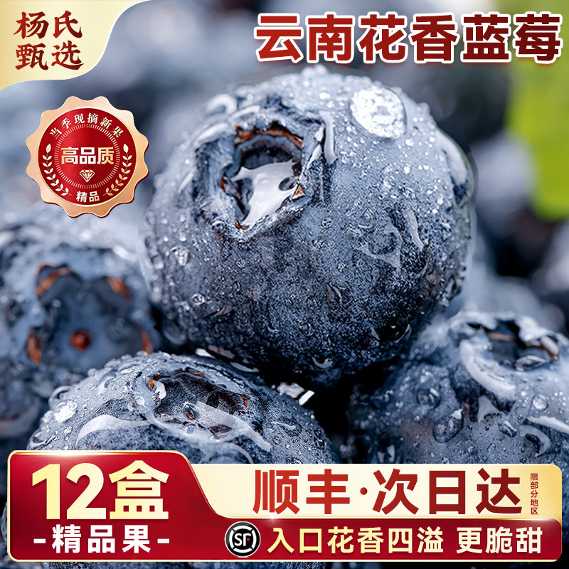 云南高山蓝莓花香特大新鲜水果现摘L25应季整箱礼盒装官方旗舰店