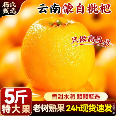 【香甜水润】正宗云南蒙自枇杷5斤新鲜水果当季长虹琵琶枇杷现摘