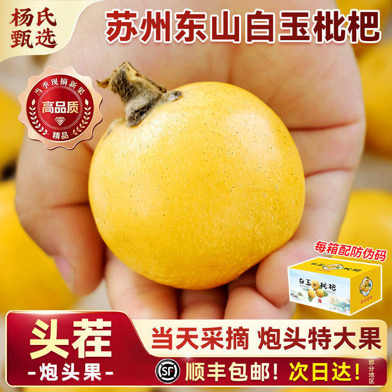 苏州东山白玉枇杷鲜果应季水果新鲜大青种琵琶兑换卡5斤礼盒顺丰