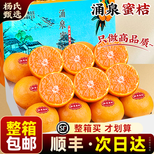 【整箱包邮】正宗临海涌泉蜜桔应当季时令新鲜水果薄皮橘子旗舰店