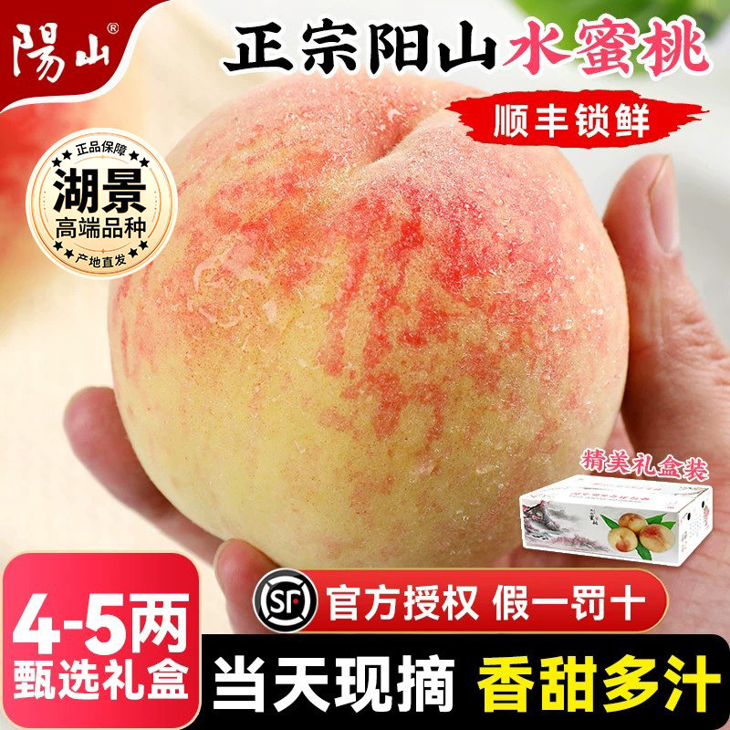 正宗阳山水蜜桃子|现摘现发