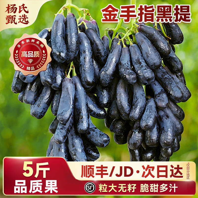 云南金手指葡萄新鲜水果当季蓝宝石美人指无籽提子孕妇黑加仑整箱