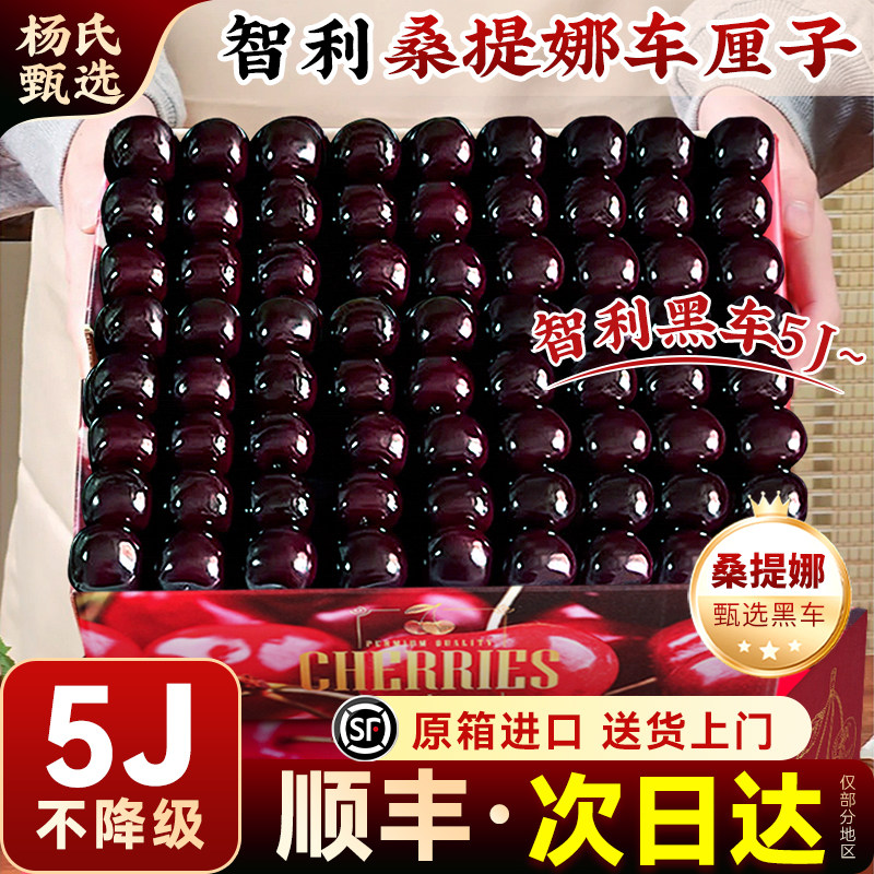 智利车厘子5斤特大果顺丰次日达