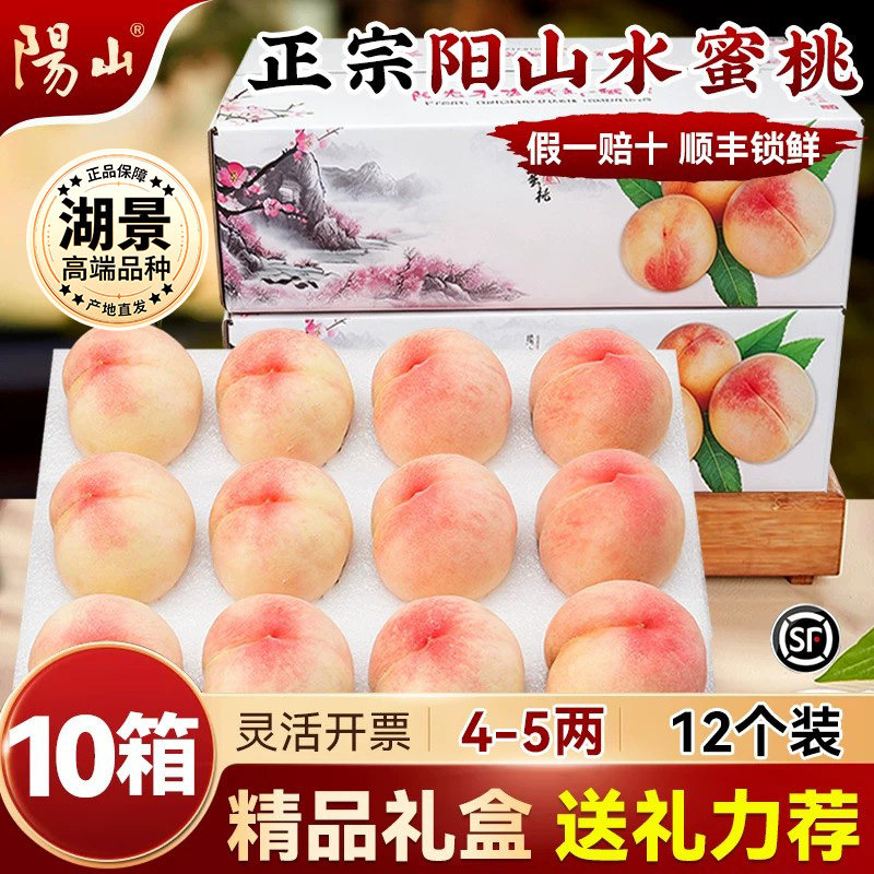 【10箱精美礼盒4-5两12枚】 正宗无锡阳山水蜜桃新鲜水果应季湖景