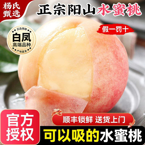 正宗无锡阳山水蜜桃子应当季新鲜水果白凤湖景礼盒毛整箱顺丰包邮