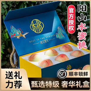 正宗无锡阳山水蜜桃当季 8两8颗 梦蓝高端礼盒 新鲜水果整箱