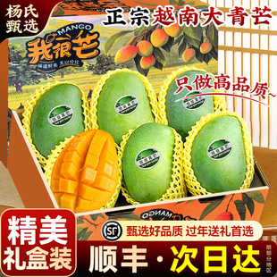 顺丰礼盒正宗越南大青芒果10斤新鲜水果特大青皮金煌甜脆当季整箱