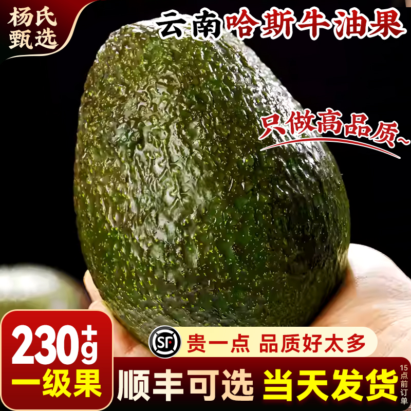 【一级牛油果】正宗云南哈斯即食鳄梨当季新鲜水果孟连国产大酪梨