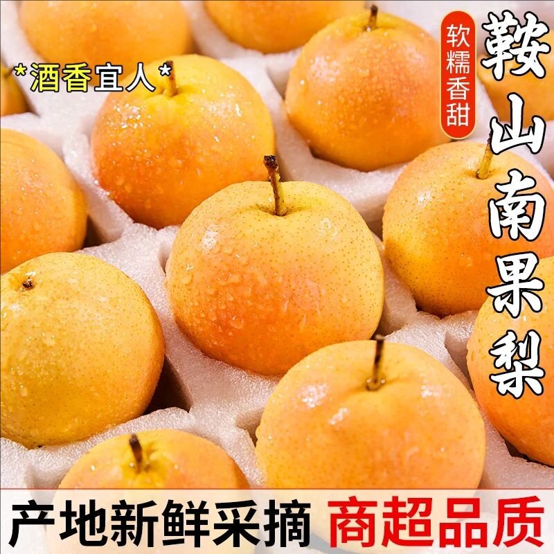 正宗鞍山特产南果梨特产