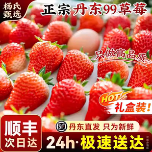 【顺丰次日达】丹东99大草莓新鲜水果九九红颜奶油礼盒牛奶旗舰店