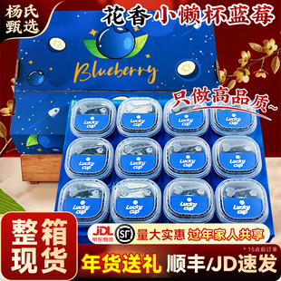 【整箱现货】云南高山花香蓝莓l25新鲜水果特大当季小懒杯礼盒装