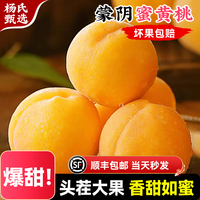 山東蒙陰黃桃新鮮水果黃金蜜桃