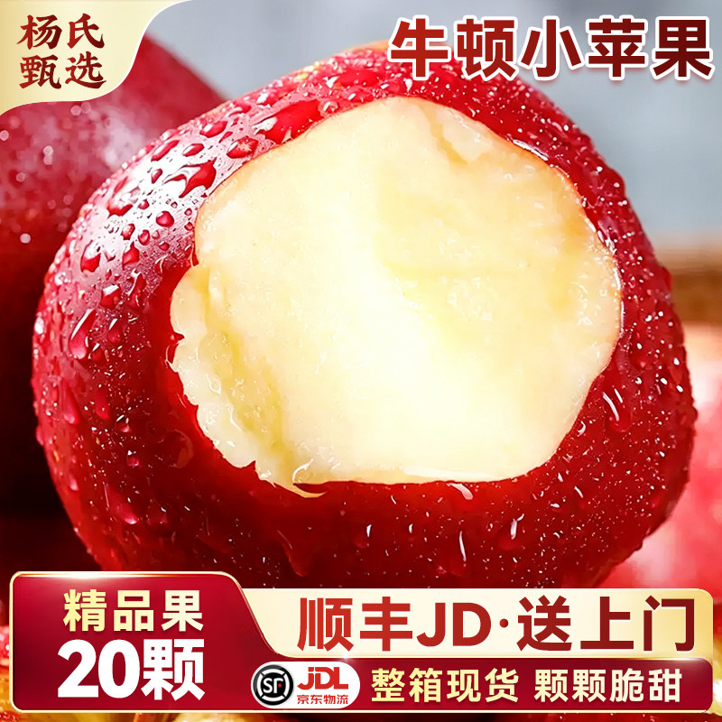 正宗南非牛顿苹果顺丰包邮