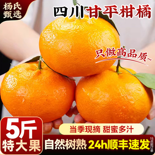 【当季现摘】顺丰四川甘平柑橘皇后新鲜正宗水果蜜桔子橘大果包邮