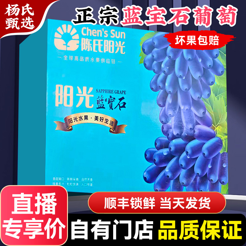 新鲜蓝宝石葡萄当季水果